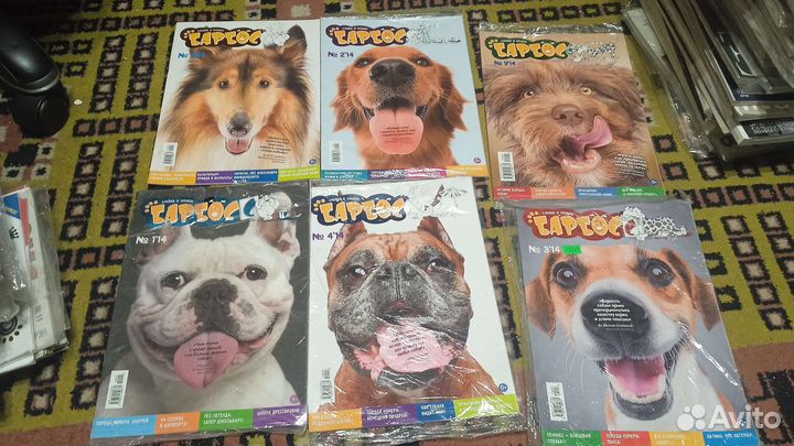 Друг кошек, друг собак, Котэлло, барбос