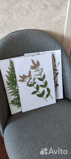 Интерьерный гербарий