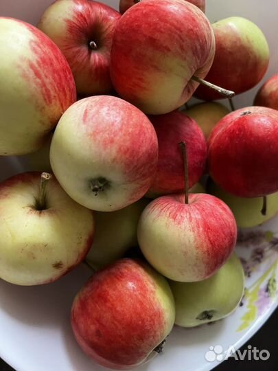 Яблоки