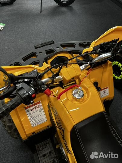 Квадроцикл Motoland 125 wild X