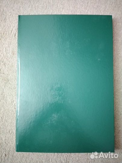 Амбарная книга