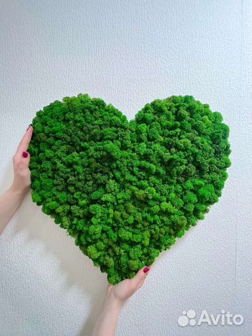 Сердце подарок на свадьбу, день рождения из мха