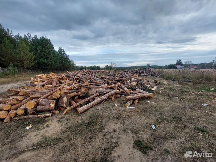 Дрова пеньками