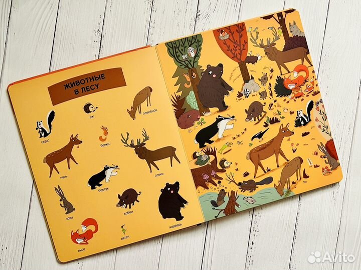 Моя первая энциклопедия. Животные