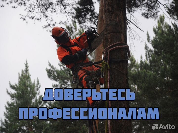 Спилить дерево, валка частями