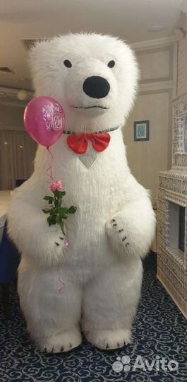 Белый Мишка, Рыжий Котик, Зайка