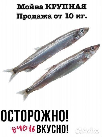 Свежемороженая рыба