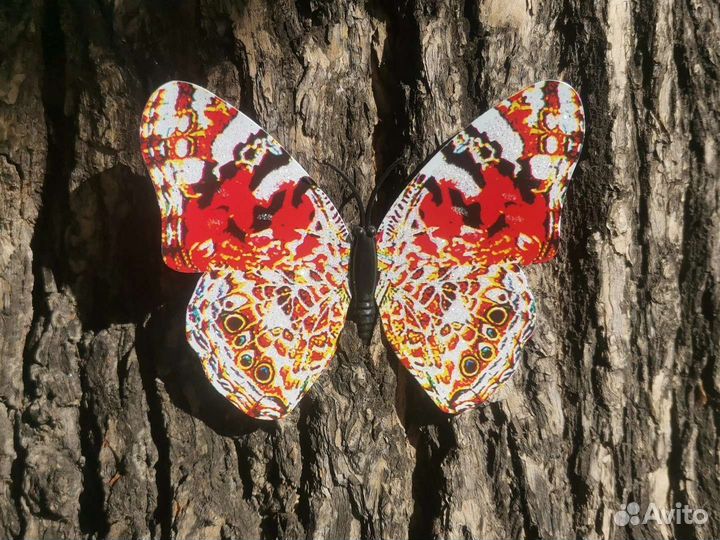 Магниты Бабочки