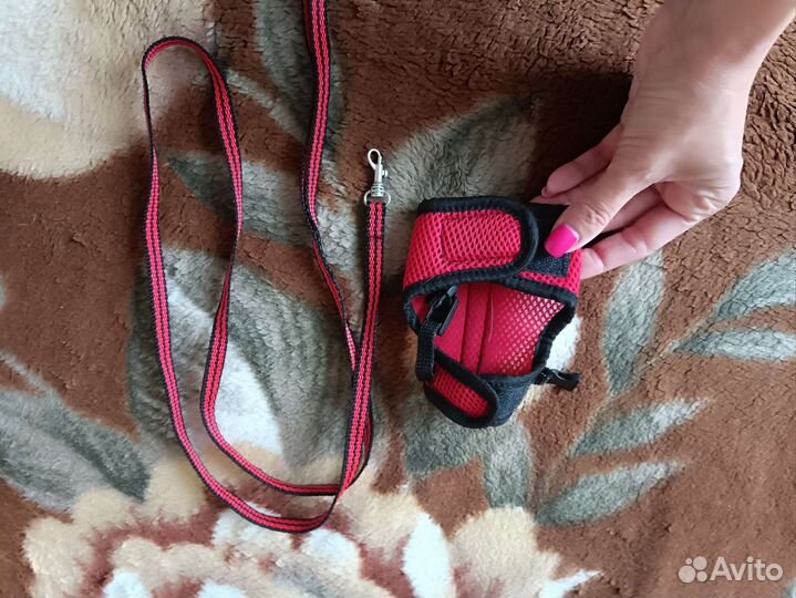 Поводок ошейник для хорька крысы или котёнка