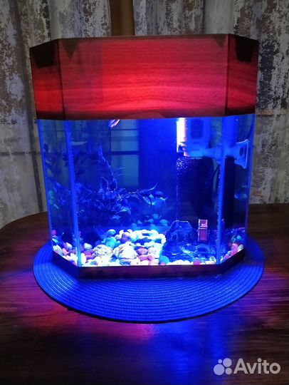 Аквариум с рыбками