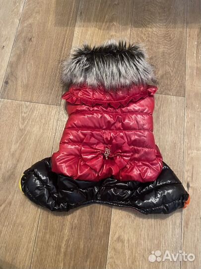 Комбинезон для собаки