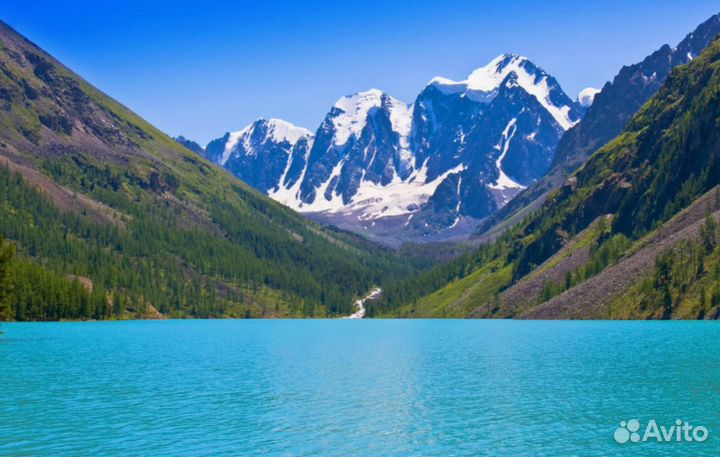 Тур в авторский тур на Алтай 7 дней