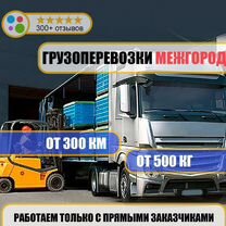 Перевозка грузов фура 10-20 тонн, Пересвет