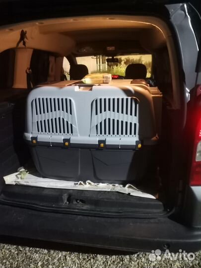 Зоотакси.перевозка животных