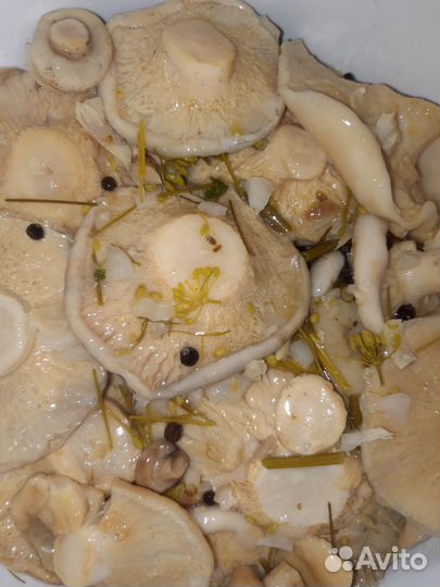 Грибы грузди соленые