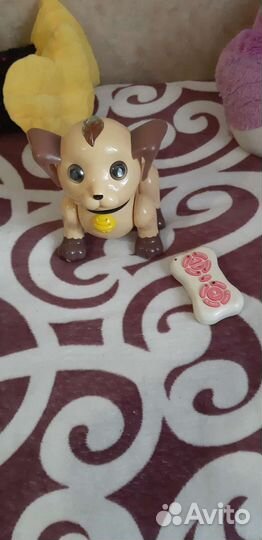 Отдам собачку за кг шоколадных конфет