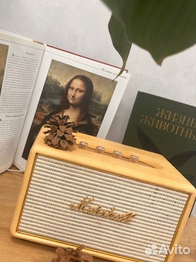 Музыкальная колонка