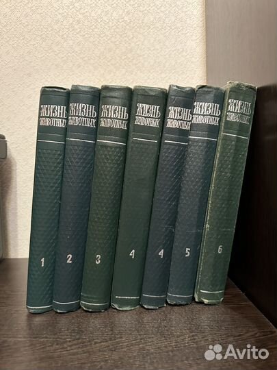 Энциклопедии Жизнь животных СССР