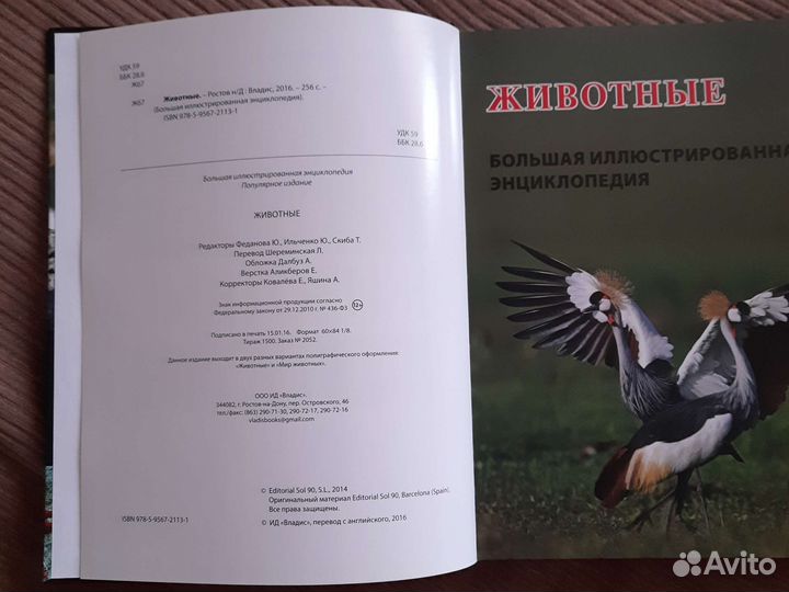 Детская энциклопедия