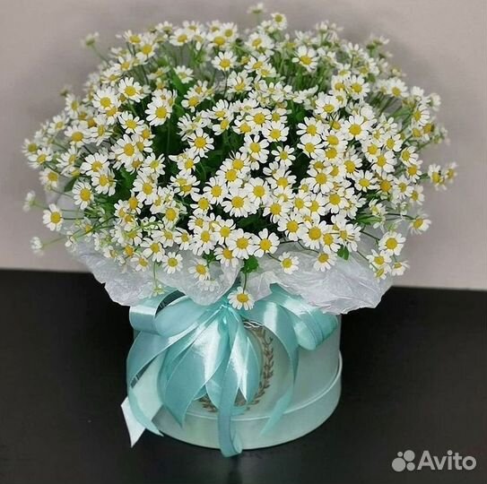 Цветы ромашки. Букеты ромашек. Цветы доставка