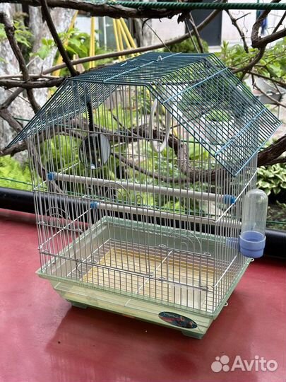 Клетка для волнистого попугая