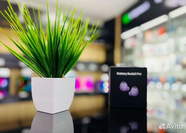 Наушники Samsung Galaxy Buds 2 Pro Новые Гарантия