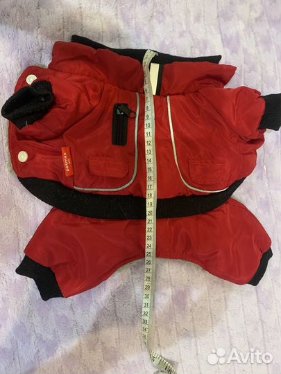 Одежда для чихуахуа