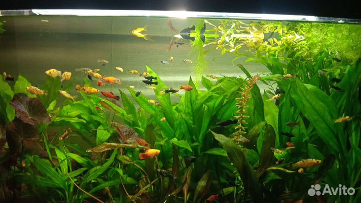 Украшение для аквариума