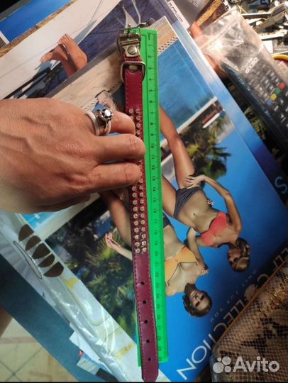 Ошейник для собак