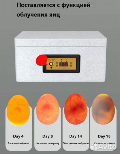 Инкубатор на 20 яиц