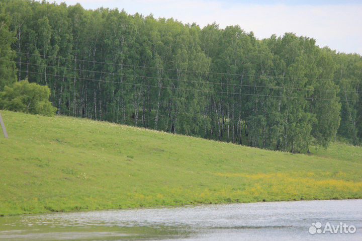 Прудовое хозяйство