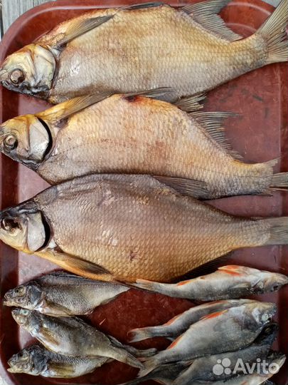 Вяленая рыба