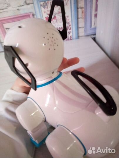 Собака робот