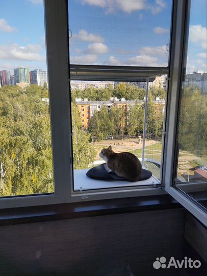 Балкончик для кошки съемный
