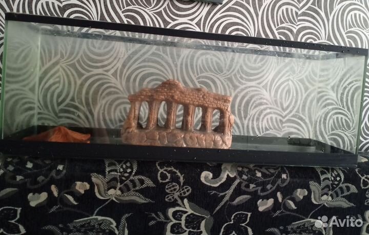 Аквариум и все что в нём