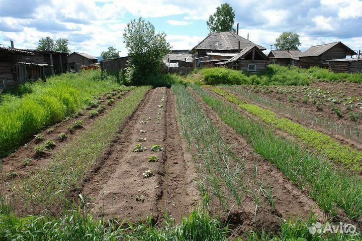 Земля чернозем Усады Сапуголи Столбище 25 тонн