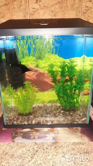 Аквариум