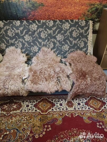 Овечья шкура натуральная