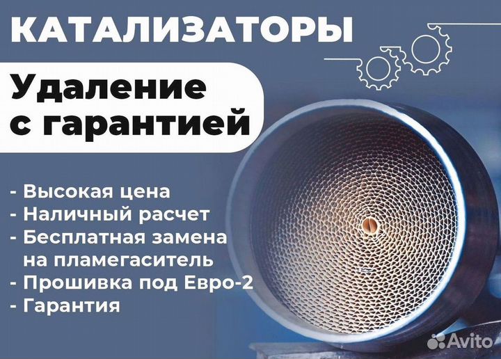 Удаление катализатора бесплатно/ чип тюнинг евро 2