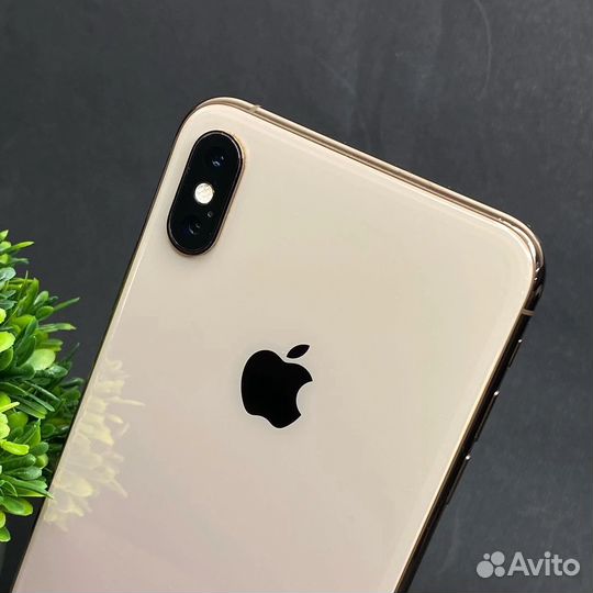iPhone Xs, 256 ГБ