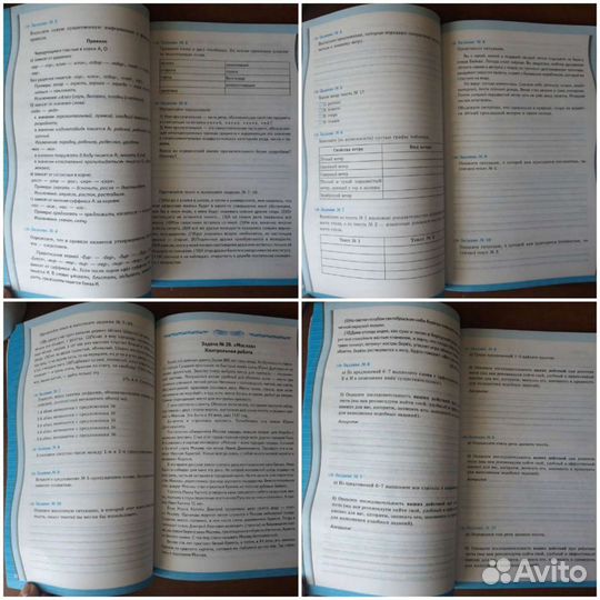 Рабочие тетради по русскому языку 5 класс