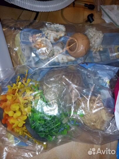 Аквариум (набор)