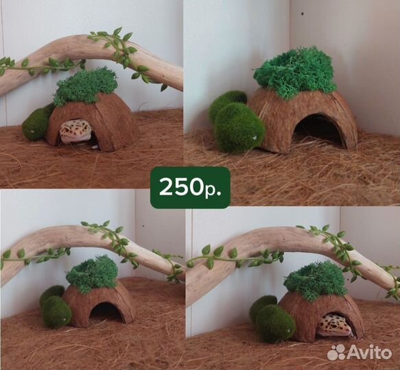Украшение для террариума