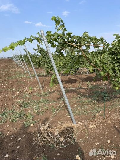 Комплектующие для виноградников