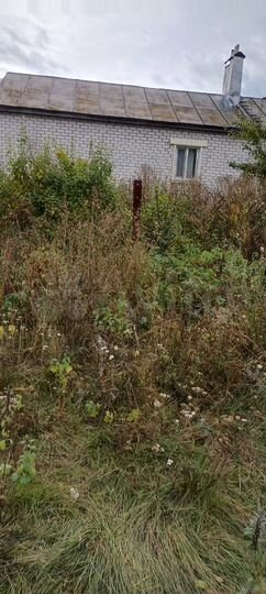 Дом 81 м² на участке 33 сот.