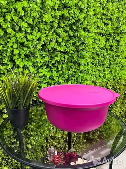 Чаша Таппервер 