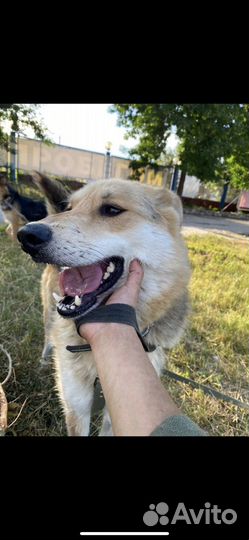 Подарите ему дом