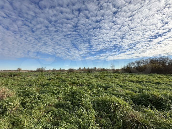 Участок 6,8 сот. (СНТ, ДНП)