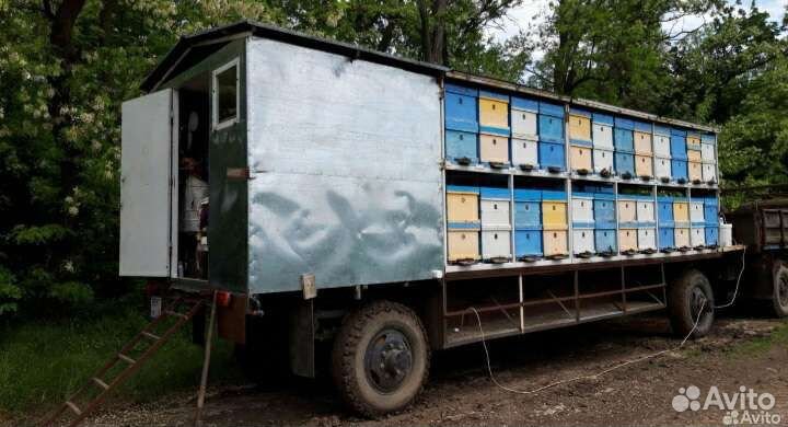 Прицеп пчеловоз, 1986