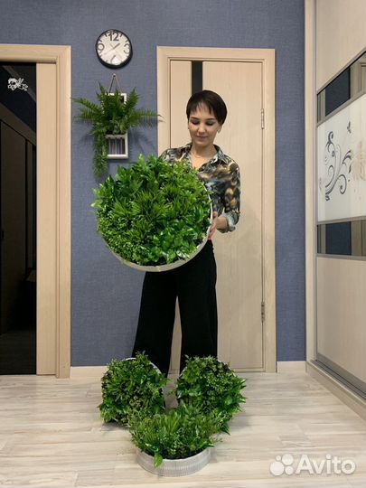 Подвесные сады вертикальное озеленение